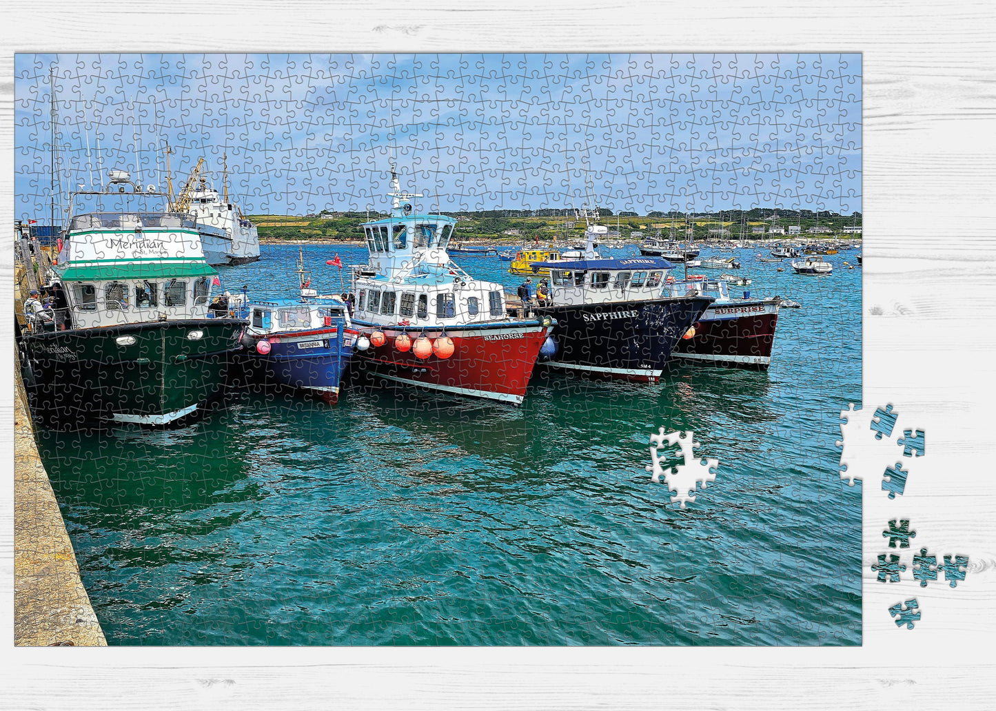 Tripper boat Jigsaw