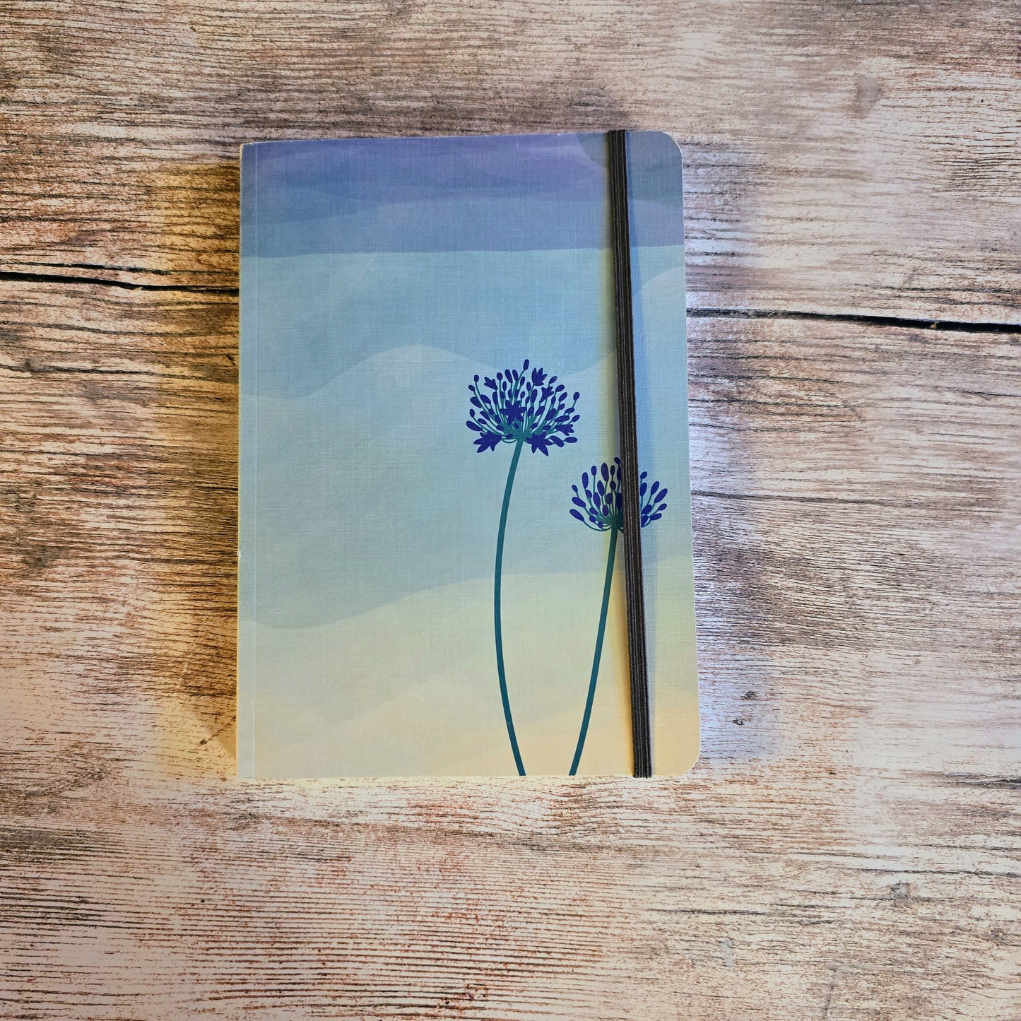 Agapanthus notebook
